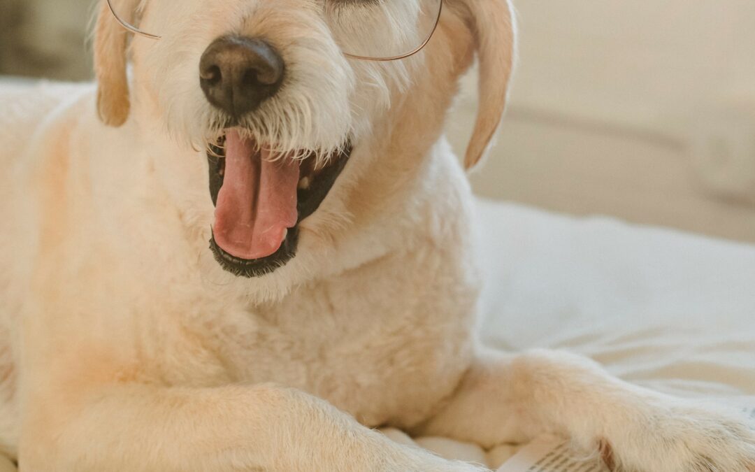 Book Reviewers Wanted